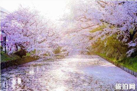 四月日本天气 四月日本旅游景点推荐 四月日本穿什么衣服