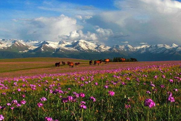 新疆那拉提草原几月份去好 那拉提草原在什么地方