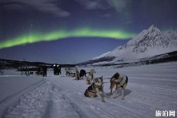 挪威有什么好玩的 挪威北极光出现月份