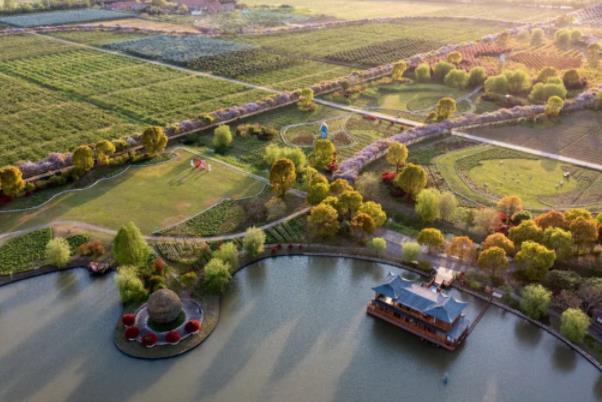 上海紫藤园综合体什么时候开放 中国最大紫藤主题园
